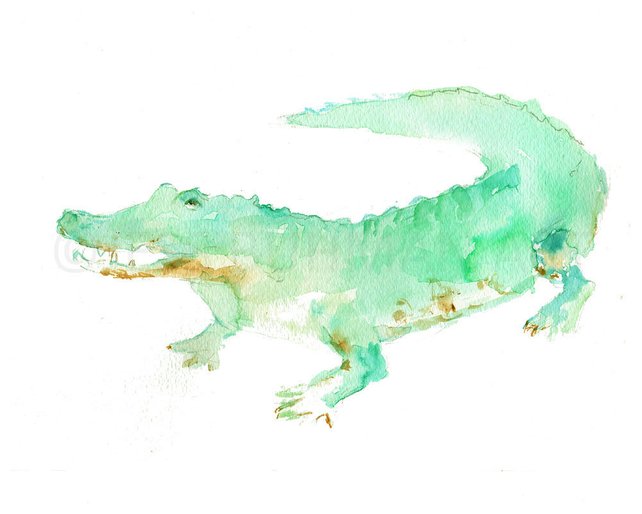 642x514 Alligator Print Watercolor Alligator Art 8 X 10 Print Etsy - Alligator Watercolor