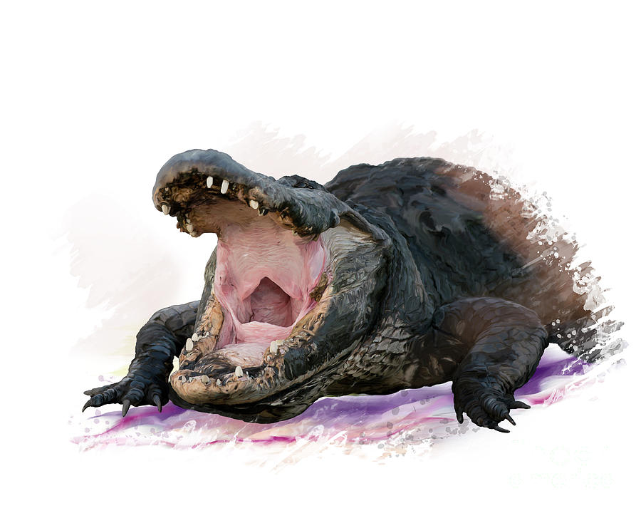 900x720 Large Alligator Watercolor Digital Art By Svetlana Foote - Alligator Watercolor