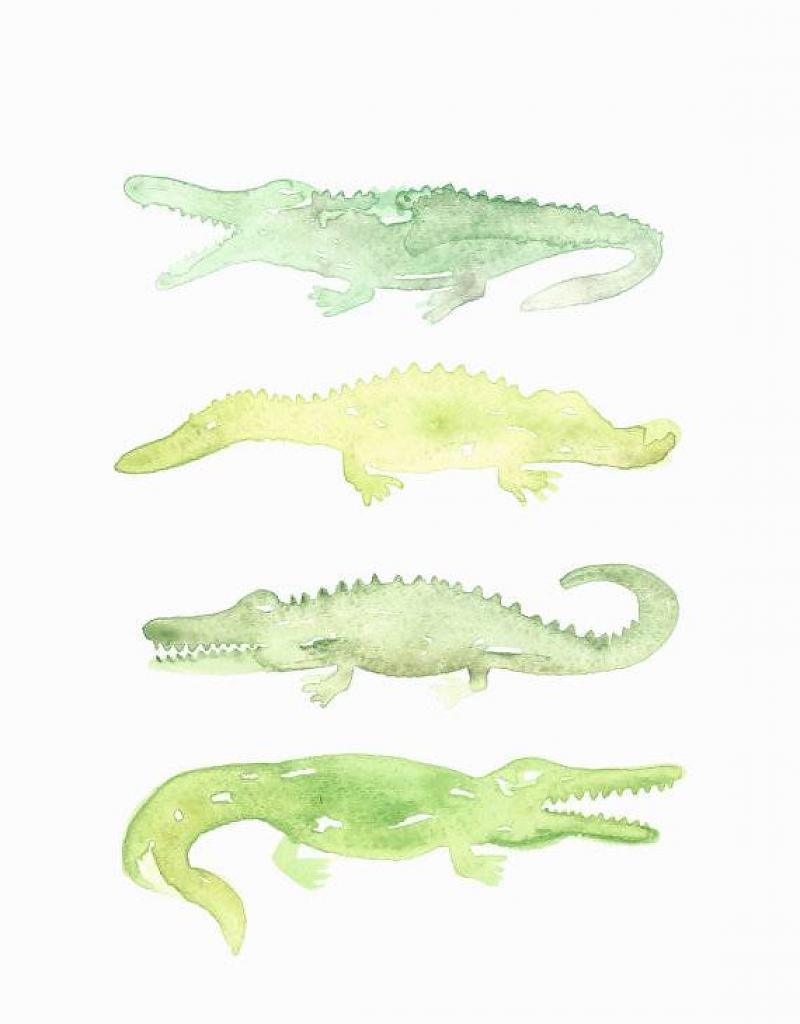 800x1024 Watercolor Alligator Print - Alligator Watercolor