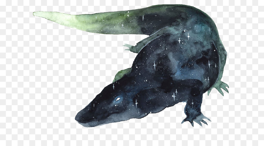 900x500 Watercolor Painting Drawing Art - Alligator Watercolor