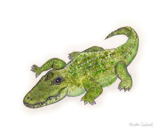 340x270 Alligator Wall Art Alligator Print Alligator Painting - Alligator Watercolor