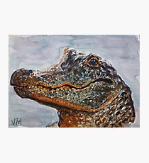 210x230 Alligator Watercolor Painting Amp Mixed Media Wall Art Redbubble - Alligator Watercolor