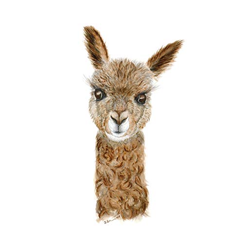500x500 Baby Alpaca Watercolor Nursery, Wall Art Available In - Alpaca Watercolor
