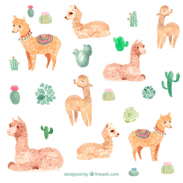 626x626 Cute Watercolor Alpaca Background Vector Free Download - Alpaca Watercolor
