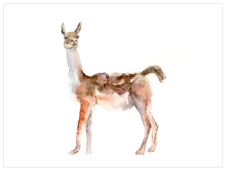 775x587 Watercolor Alpaca Shop Babybliss - Alpaca Watercolor