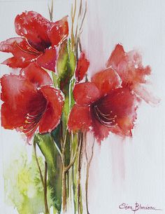 236x305 Paintings - Amaryllis Watercolor