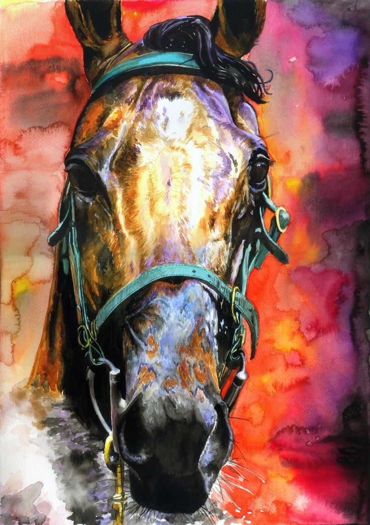 736x1042 Amazing Watercolor Paintings Horse Watercolor Painting, Amazing - Amazing Watercolor