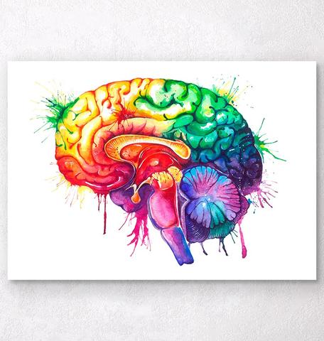 Anatomical Heart Watercolor at PaintingValley.com | Explore collection ...