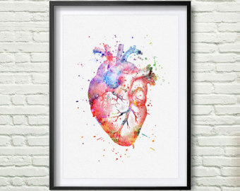 340x270 Anatomy Heart Gift Watercolor Etsy - Anatomical Heart Watercolor