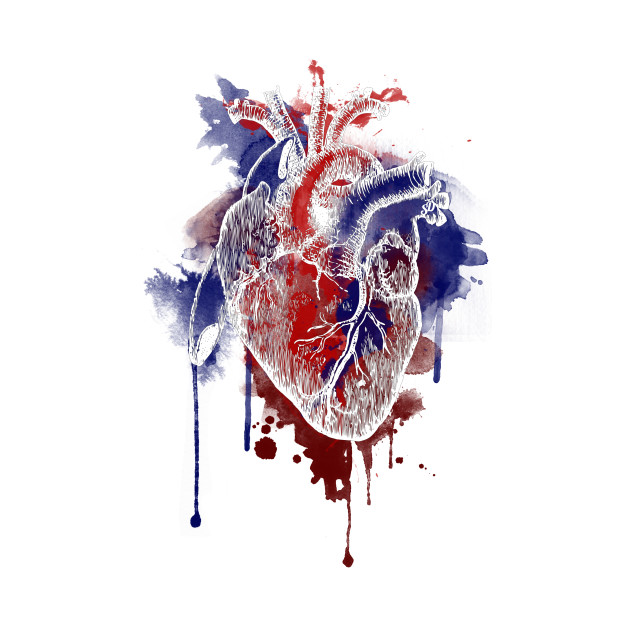 630x630 Digital Anatomical Watercolor Heart (White Version) - Anatomical Heart Watercolor