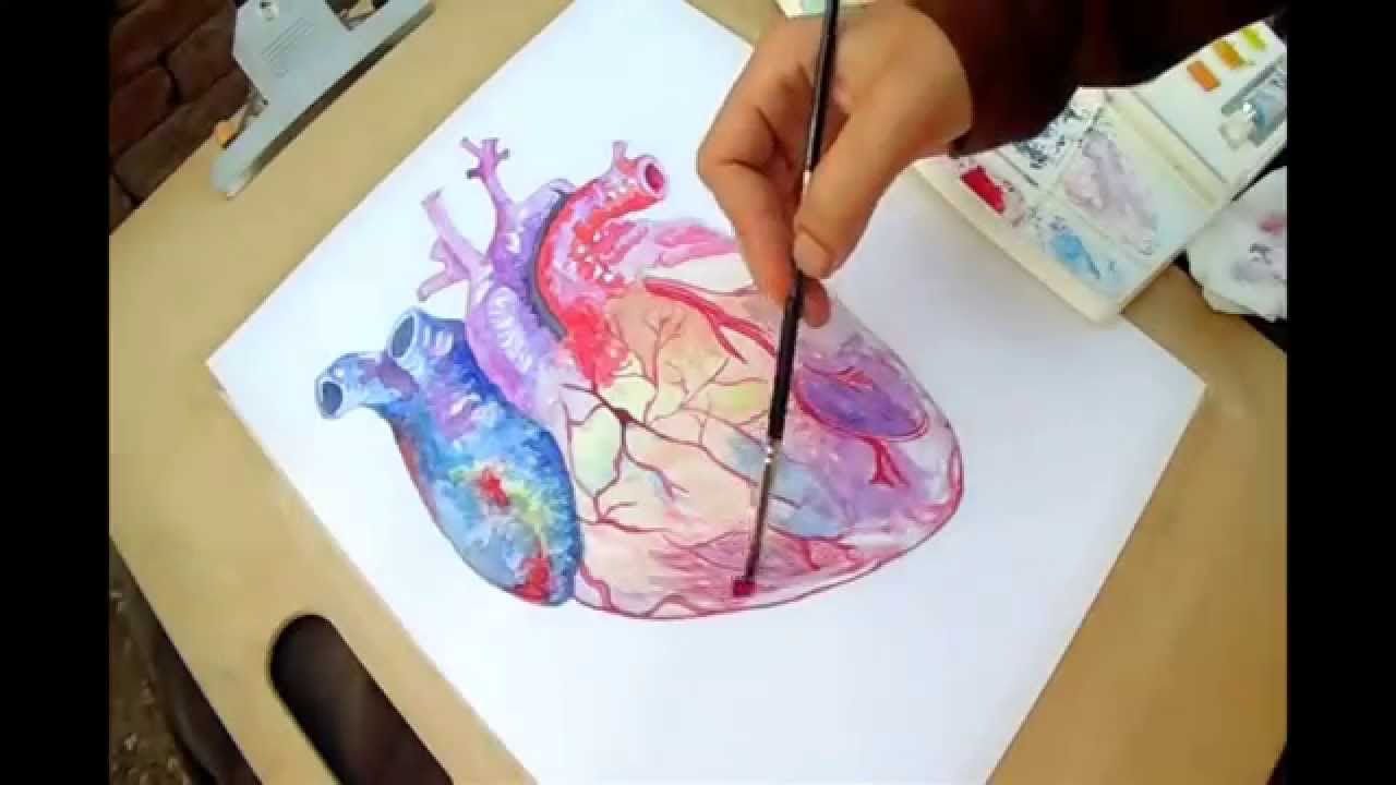 1280x720 Drawing A Heart - Anatomical Heart Watercolor