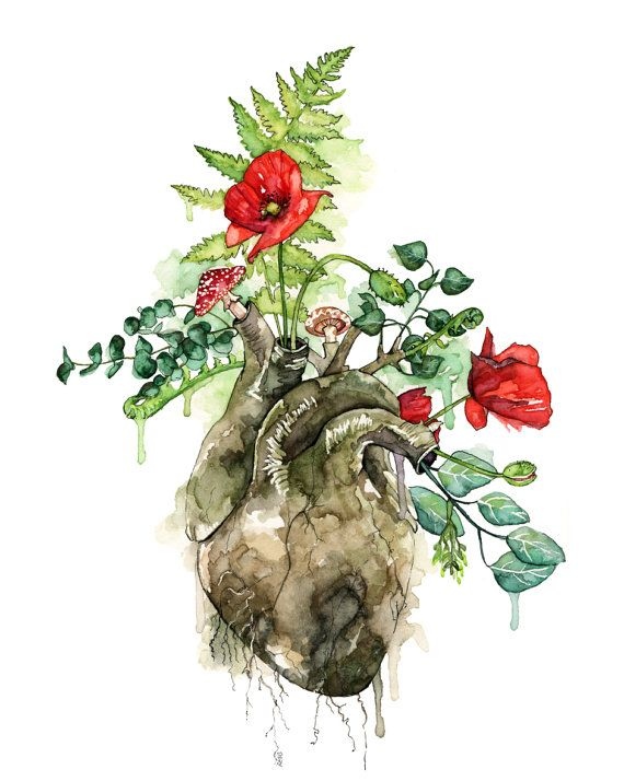 570x714 Human Heart Flower Vase Beautiful 25 Best Ideas About Watercolor - Anatomical Heart Watercolor