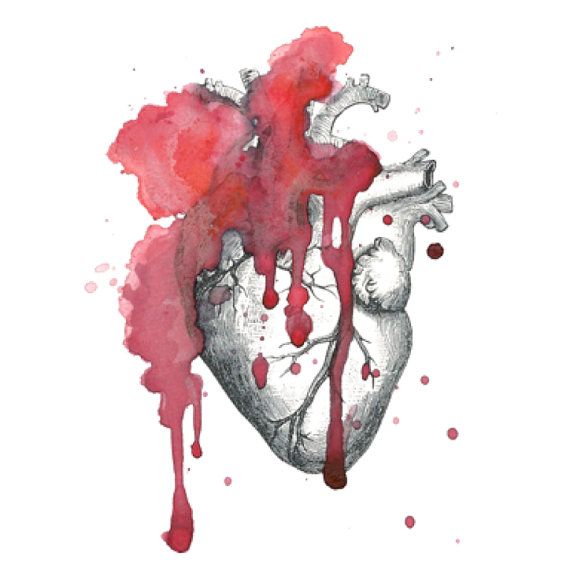 570x579 Vintage Watercolor Anatomical Heart Temporary Tattoo - Anatomical Heart Watercolor