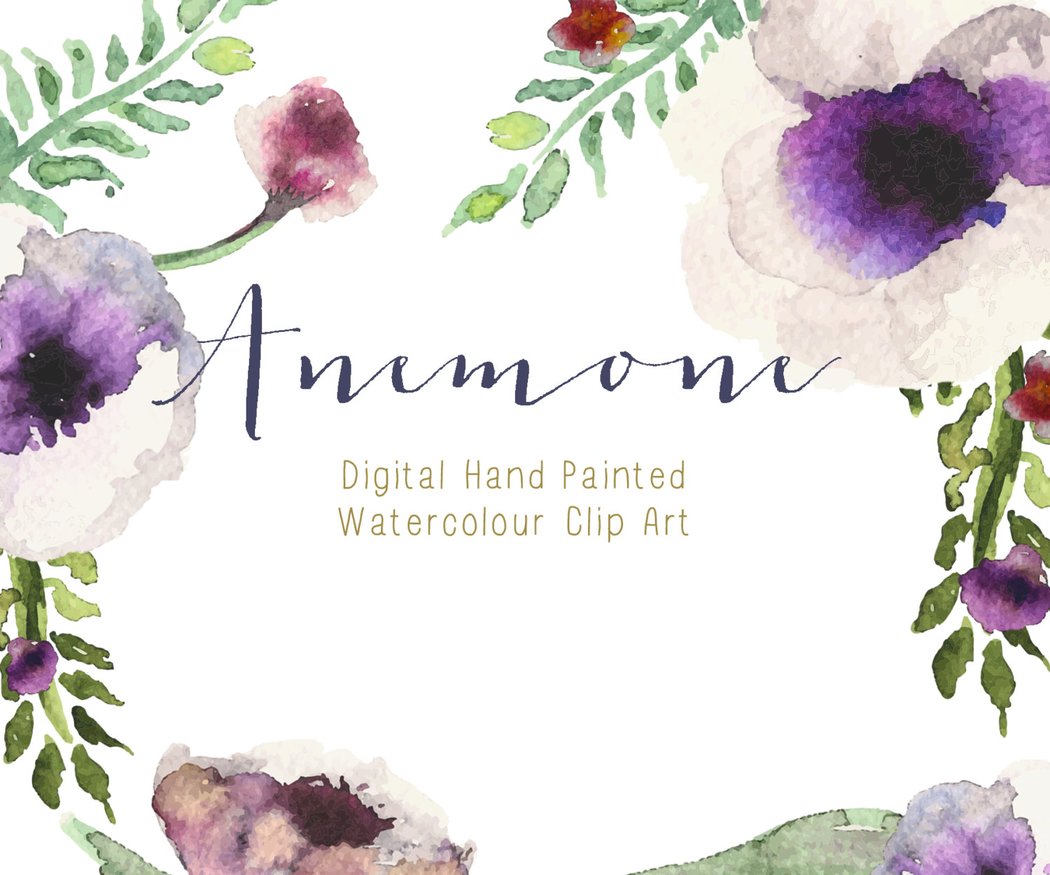 1500x1250 Anemone Clipart Anemone Flower - Anemone Watercolor