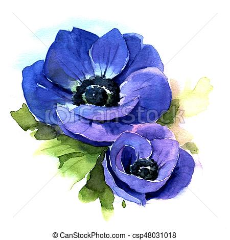 450x470 Anemone. Watercolor Illustration. Flower Blue Anemone. Hand Drawn - Anemone Watercolor