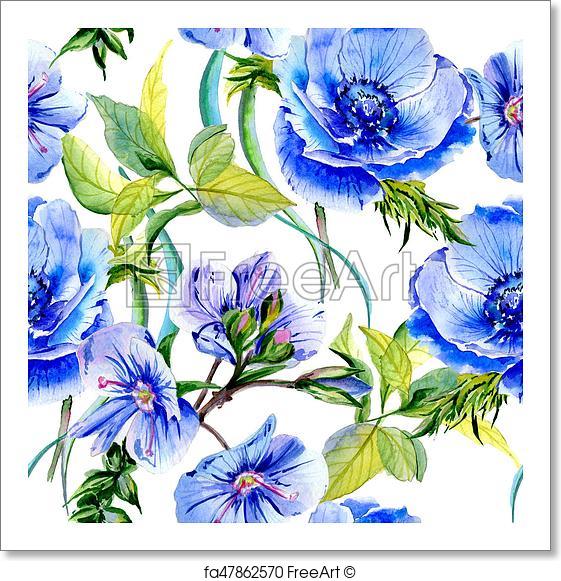 561x581 Free Art Print Of Wildflower Anemone Flower Pattern In A - Anemone Watercolor