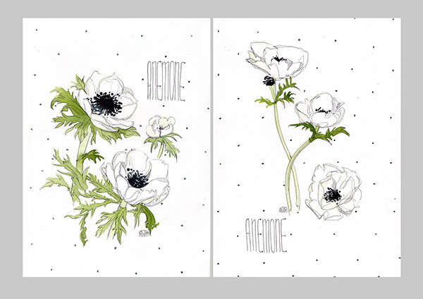 600x424 Watercolor Anemones On Behance - Anemone Watercolor