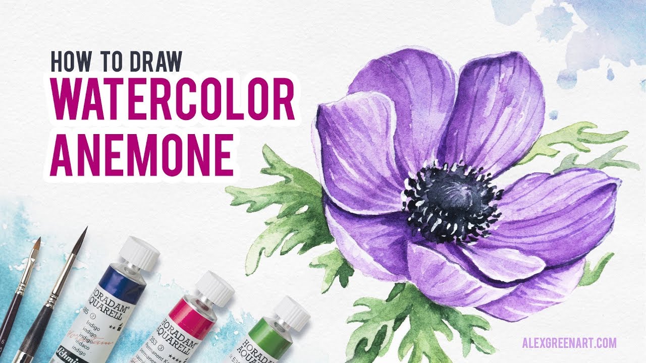 1280x720 Watercolor Anemone. How To Draw Flowers. - Anemone Watercolor