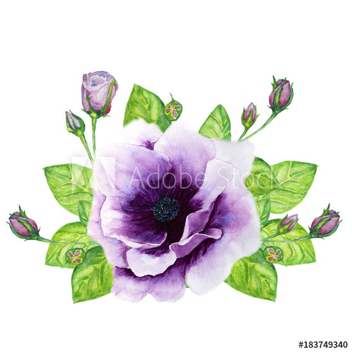 500x500 Bouquet Of Roses And Anemone Watercolor Illustration - Anemone Watercolor