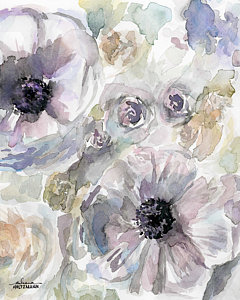 240x300 Anemone Watercolor Paintings Fine Art America - Anemone Watercolor