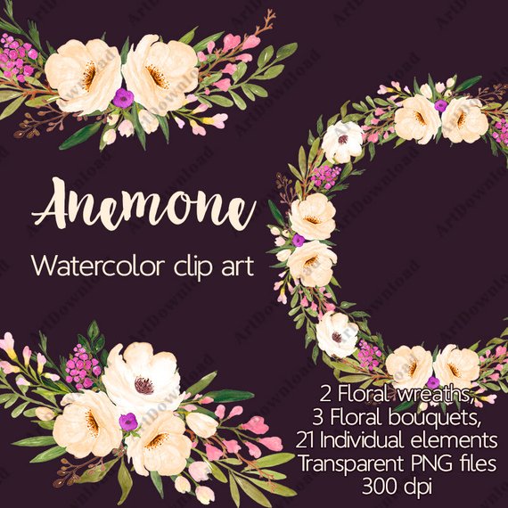570x570 Anemone Watercolor Flower Clip Art Hand Painted Flowers Etsy - Anemone Watercolor