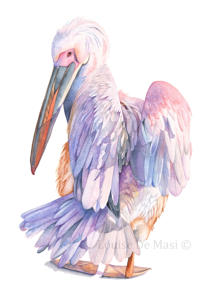 709x1000 Angel Wings Louise De Masi - Angel Wings Watercolor