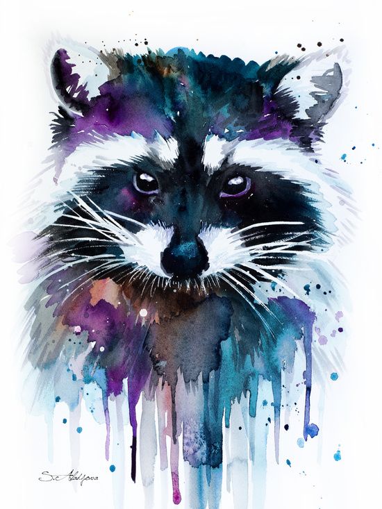 550x733 Eu Gosto De Guaxinins 3 Art - Animal Watercolor Art
