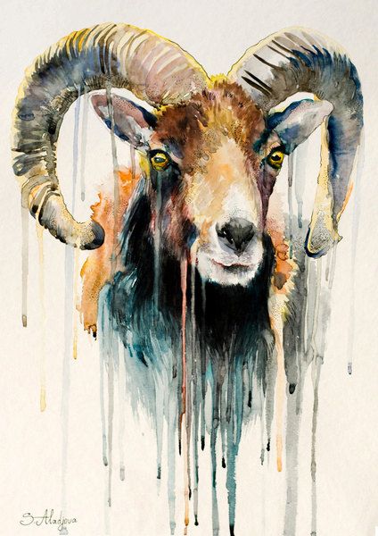 424x600 364 Best Animal Art Images Kitty Cats, Canvases And - Animal Watercolor Art
