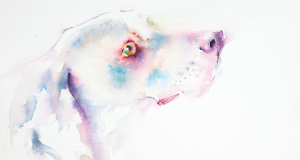 600x320 Painting Watercolor Animals - Animal Watercolor Art