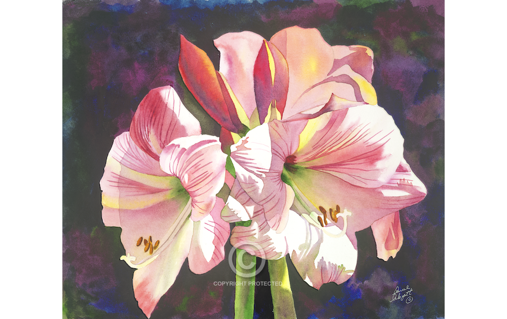 1000x630 Watercolor Painting Anne Abgott Water Colors Floral Design - Anne Abgott Watercolor