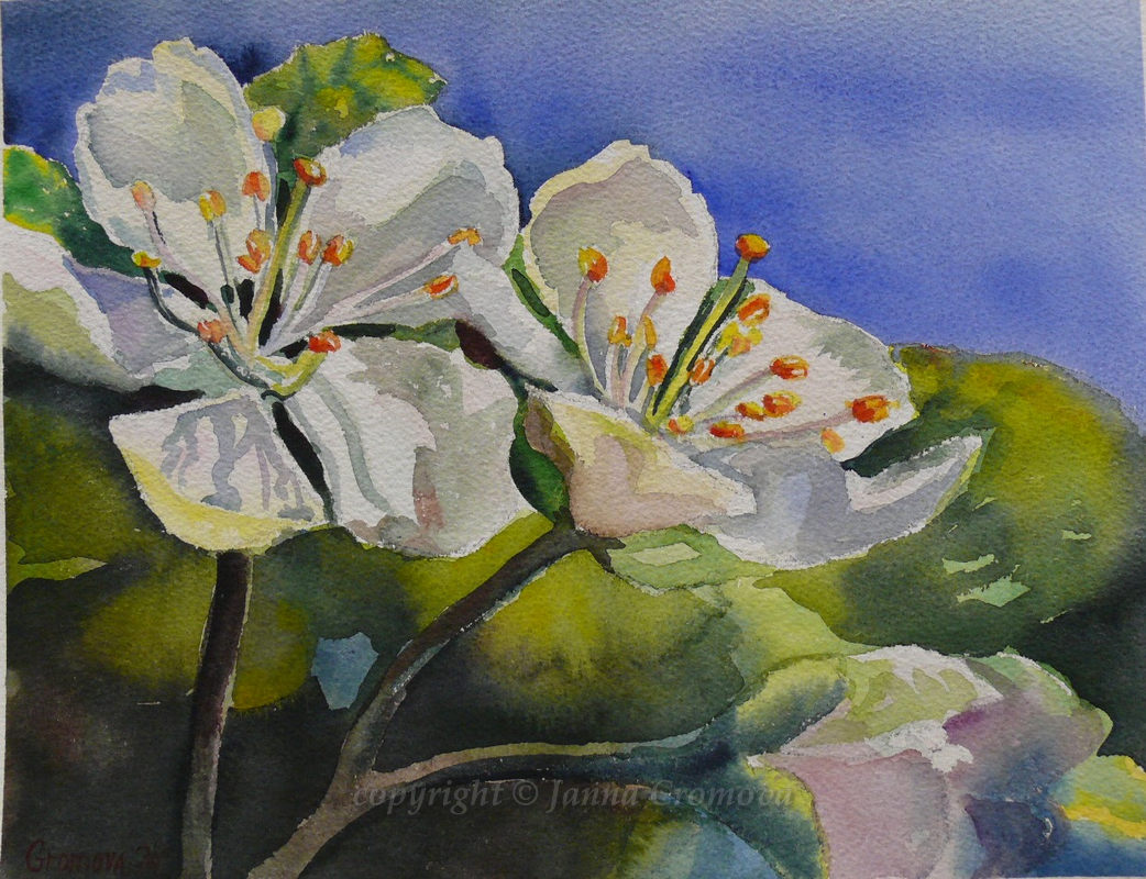 1042x800 Floral The Art Of Janna Gromova - Apple Blossom Watercolor