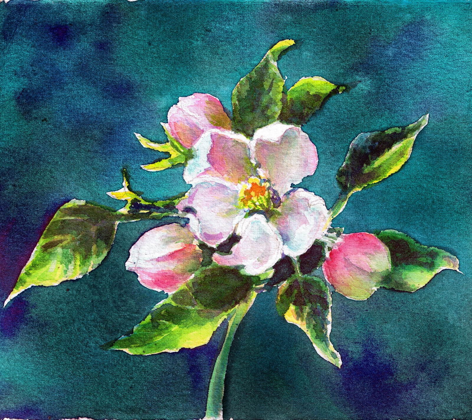 1600x1423 Robin Swaby - Apple Blossom Watercolor