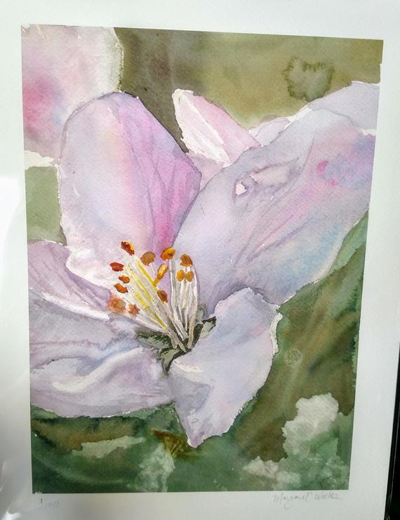 570x741 Apple Blossom Watercolor Print Etsy - Apple Blossom Watercolor