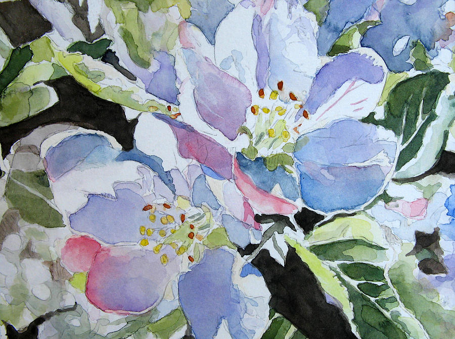 900x672 Apple Blossoms Watercolor Painting By Oliver Riedel - Apple Blossom Watercolor