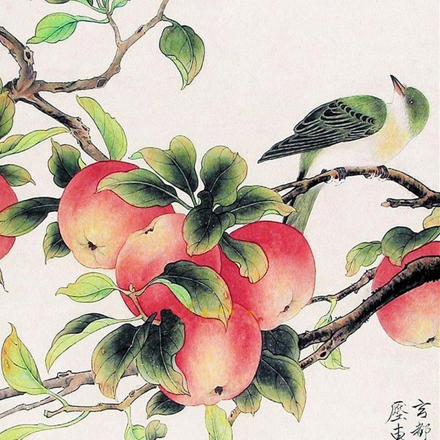 640x640 Online Shop Chinese Silk Ink Watercolor Flower And Birds Oriole - Apple Tree Watercolor