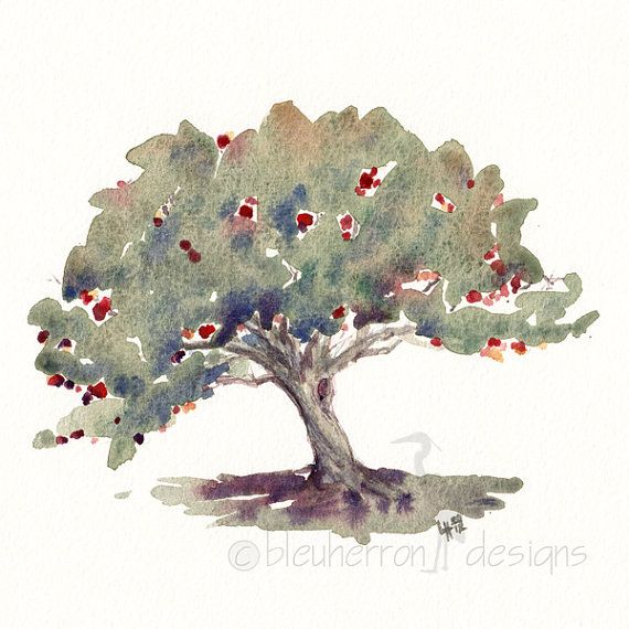 570x570 Red Apple Tree Food Art Watercolor Print Art Inspiration - Apple Tree Watercolor
