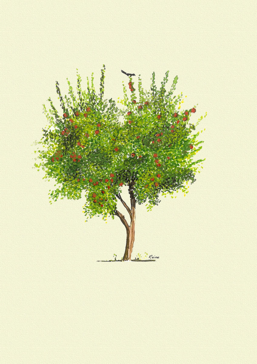 848x1200 Apple Tree Watercolor (Zequeen) - Apple Tree Watercolor