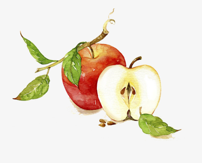 650x524 Red Watercolor Painted Apple, Watercolor Clipart, Red Apple - Apple Watercolor Painting