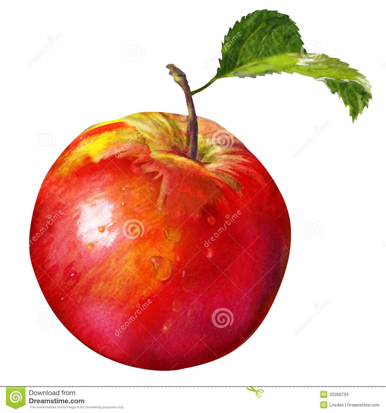 1300x1390 Watercolor Paintings Of Red Apples Watercolor Painting On White - Apple Watercolor Painting