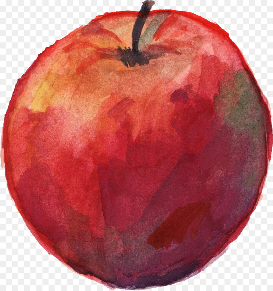 900x960 Apple Watercolor Painting - Apple Watercolor Painting