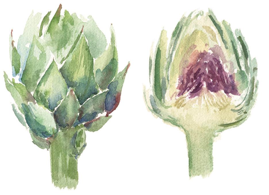 936x680 How To Pick A Perfect Artichoke The Mercury News - Artichoke Watercolor