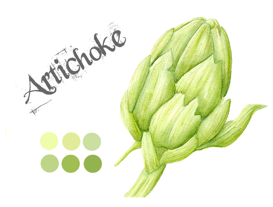 900x685 Laura Ashton Artichoke Watercolour Painting - Artichoke Watercolor