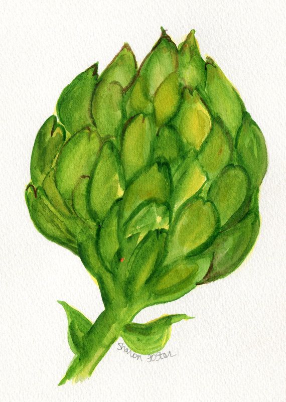 570x801 Original Artichoke Watercolor Painting, Fruit And Vegetable Series - Artichoke Watercolor