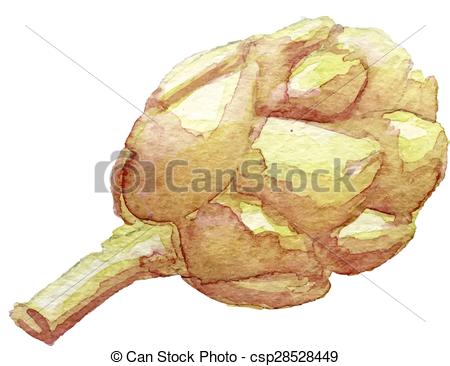 450x366 Vector Watercolor Drawing Of An Artichoke, Eps10. - Artichoke Watercolor