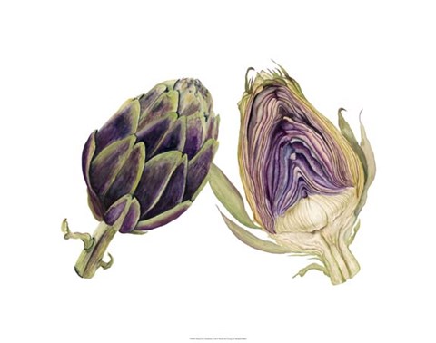 480x378 Watercolor Artichoke Fine Art Print By Michael Willett - Artichoke Watercolor