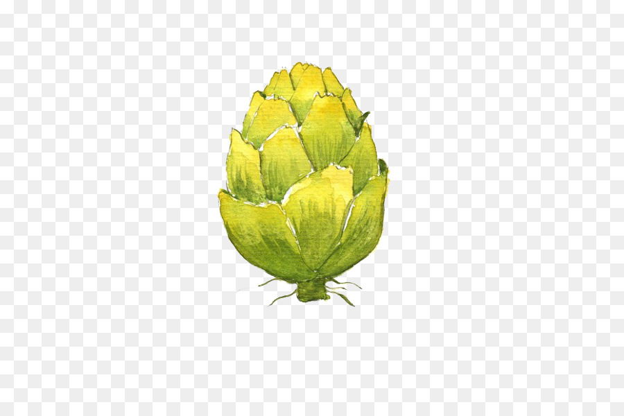 900x600 Watercolor Painting Artichoke Illustration - Artichoke Watercolor