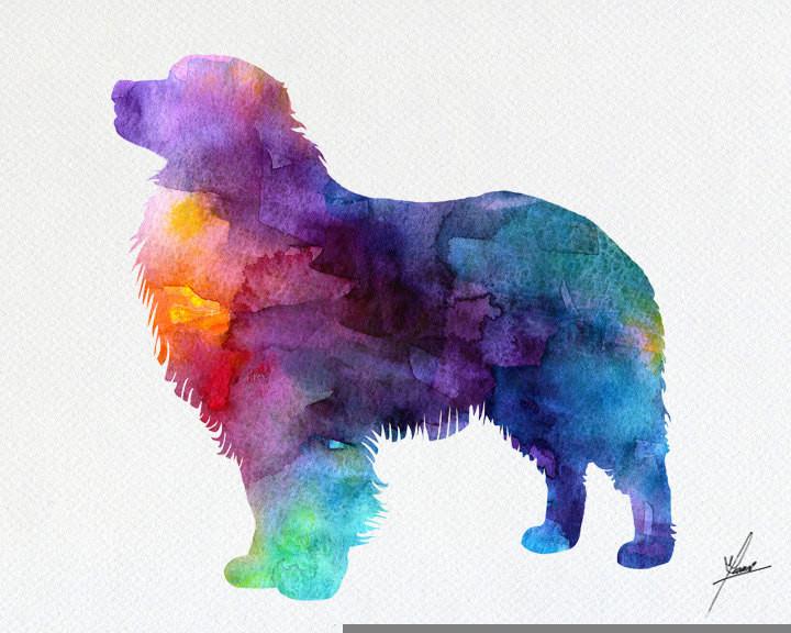 720x576 Australian Shepherd Print - Australian Shepherd Watercolor