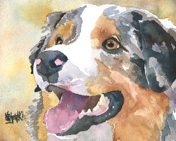 350x280 Australian Shepherd Watercolor Portrait 041707 - Australian Shepherd Watercolor