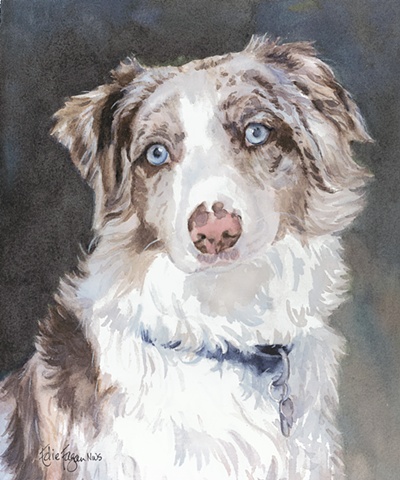 400x480 Edie Fagan - Australian Shepherd Watercolor
