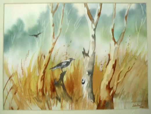 520x393 Watercolour Tips Free Art Lessons Amp Gallery With Julie Duell - Australian Watercolour